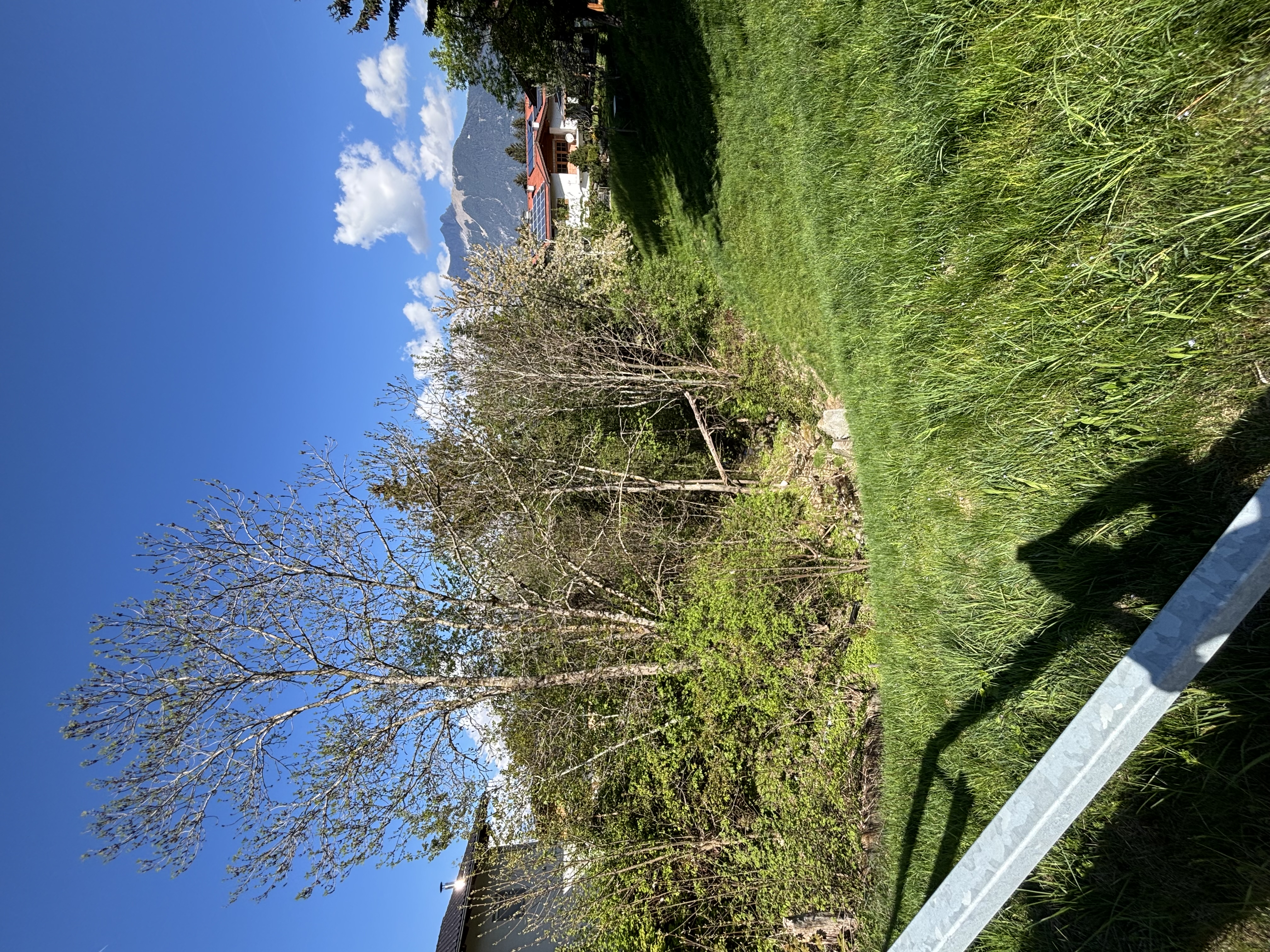 Ca. 1000 Quadratmeter groes Baugrundstck in Weerberg! /  / 6133 Weerberg / Bild 4