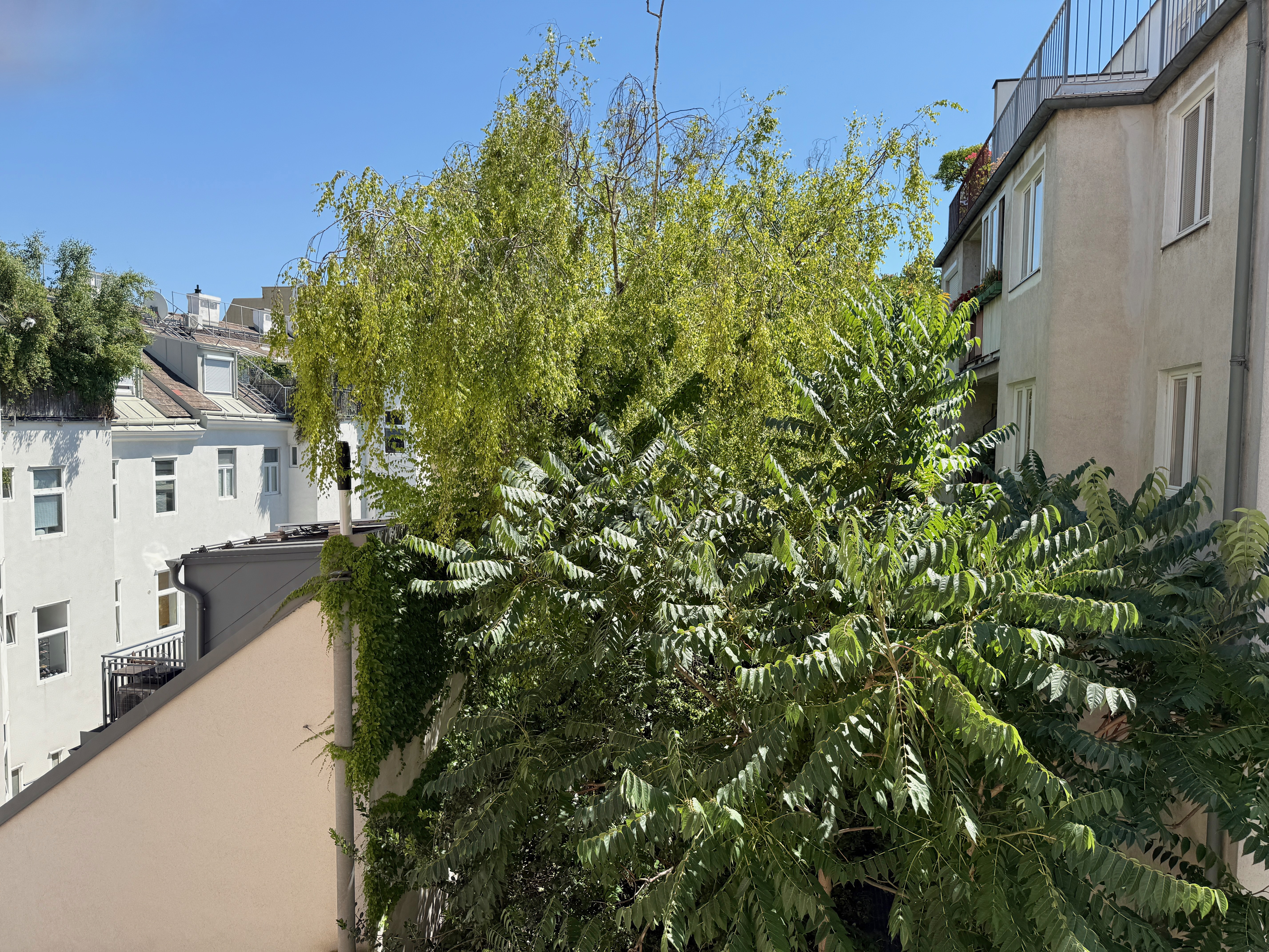 Erstbezug nach Kernsanierung I Fußbodenheizung I südseitiger Balkon I Luftwärmepumpe inkl. Kühlung I 3fach Verglasung mit Außenjalousien I Schlüsselfertig 