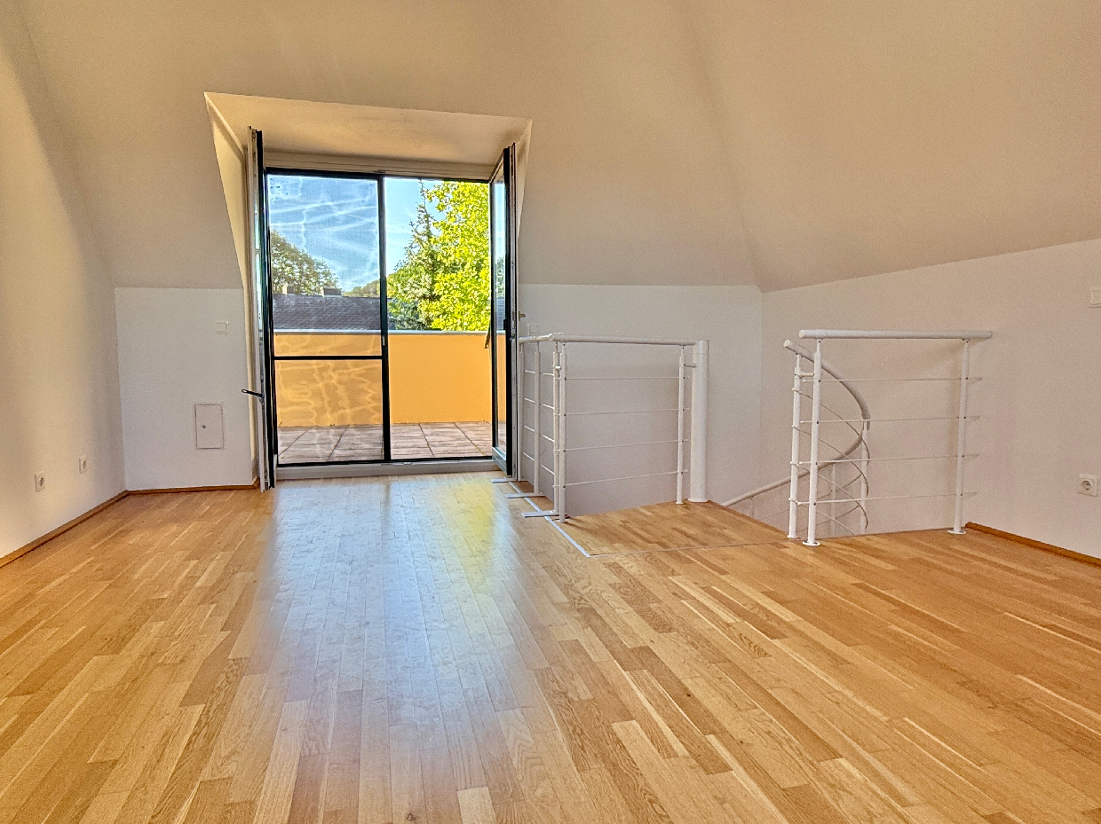 Historische Villa mit 3 DG-Einheiten inkl. Terrassen I 2012 DG Ausbau inkl. Lift I Gr�nlage /  / 2500&nbsp;Baden / Bild 5