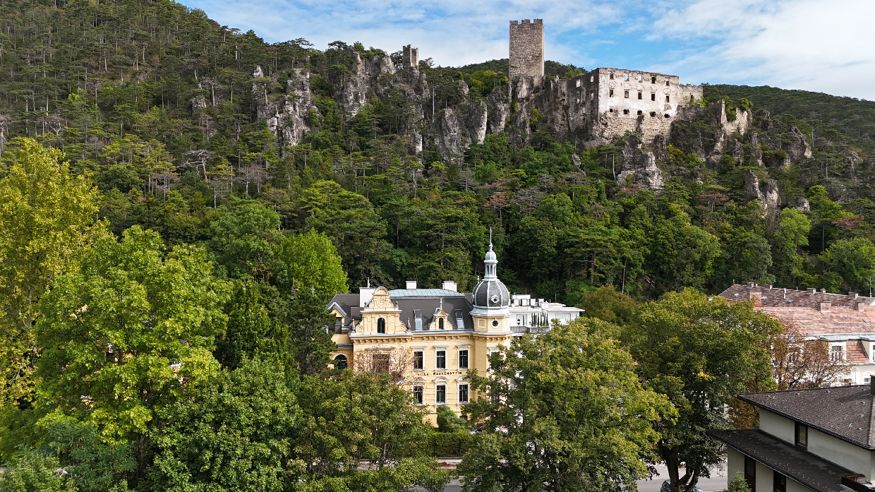 Historische Villa mit 3 DG-Einheiten inkl. Terrassen I 2012 DG Ausbau inkl. Lift I Gr�nlage