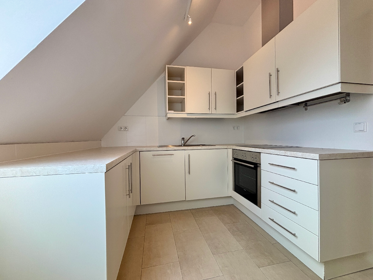 Historische Villa mit 3 DG-Einheiten inkl. Terrassen I 2012 DG Ausbau inkl. Lift I Gr�nlage /  / 2500&nbsp;Baden / Bild 3