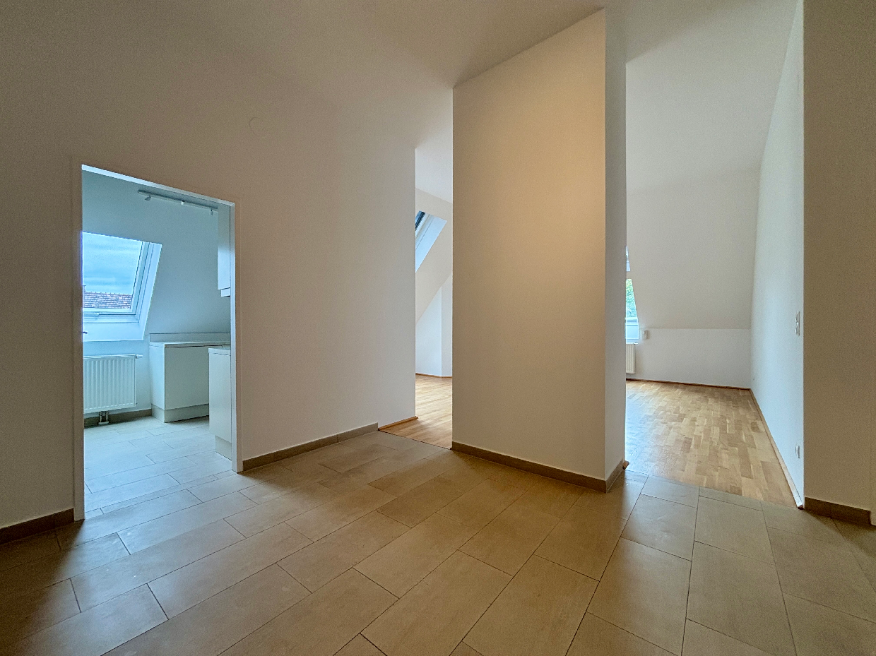 Historische Villa mit 3 DG-Einheiten inkl. Terrassen I 2012 DG Ausbau inkl. Lift I Gr�nlage /  / 2500&nbsp;Baden / Bild 5