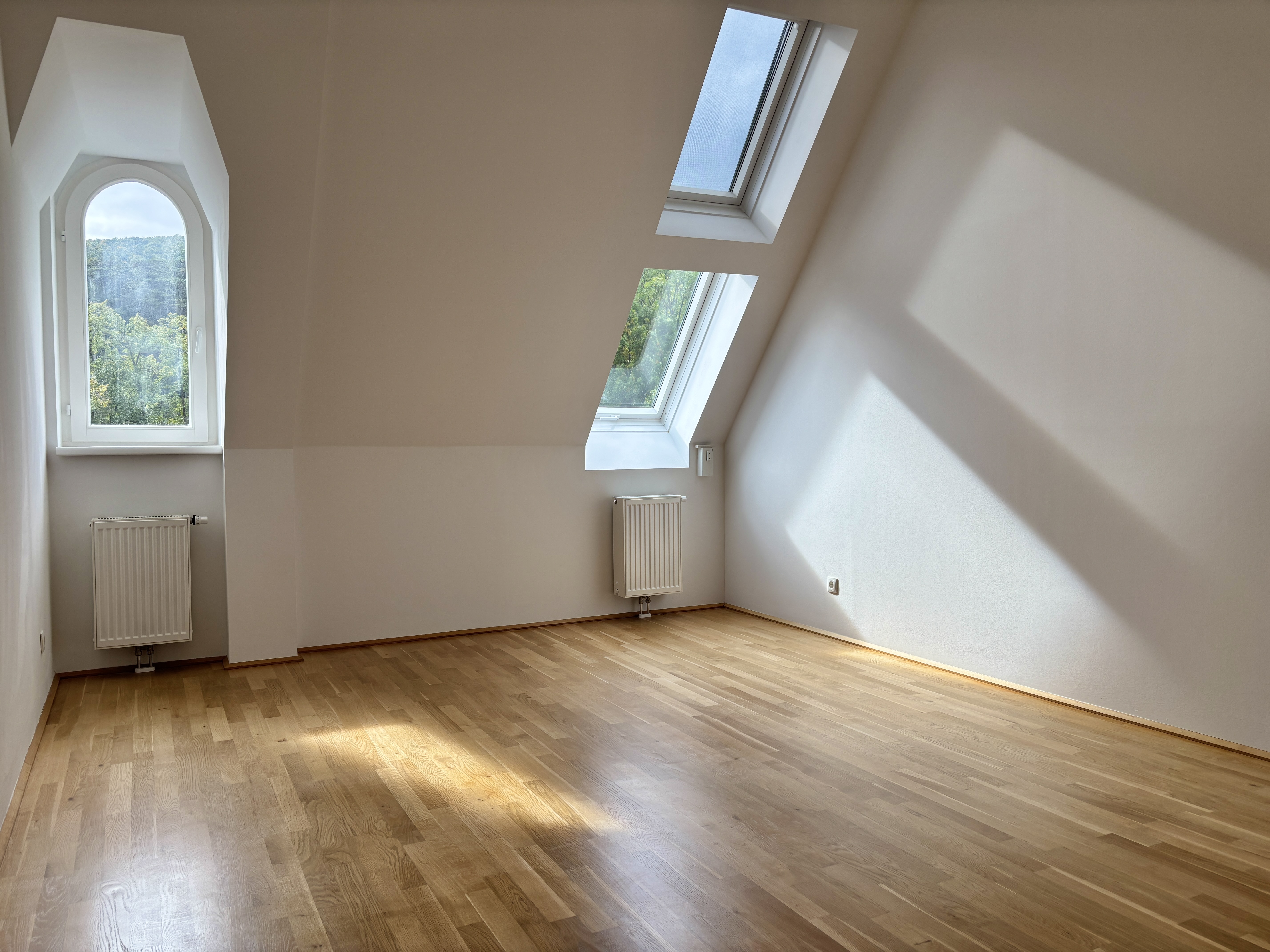 Dachgeschoss-Turm-Wohnung mit 5 Meter Raumhhe | ca. 2.000 m Garten zur allgemeinen Nutzung I freie Mietzinsbildung I  /  / 2500 Baden / Bild 3